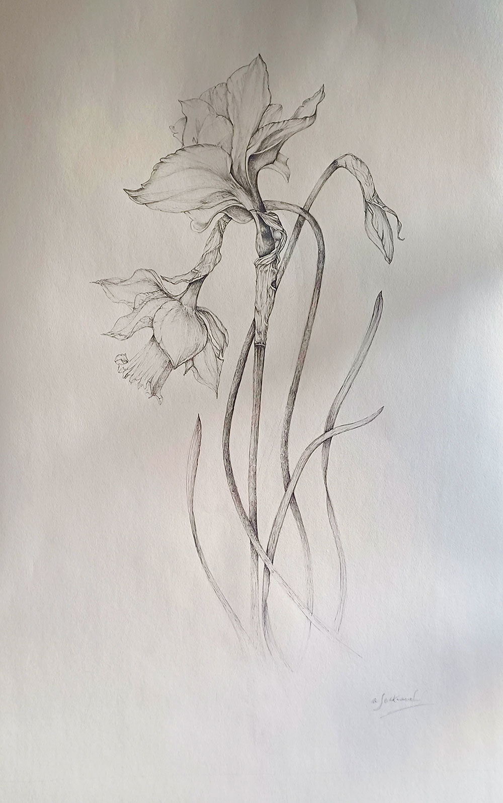 arte